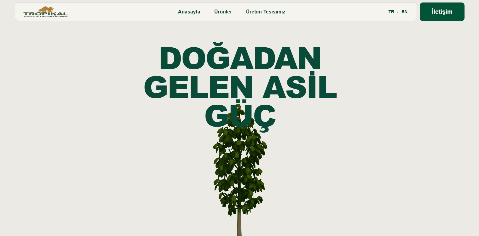 Teak Blond ekran goruntusu